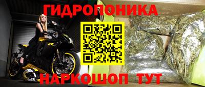 молекула духа Будённовск