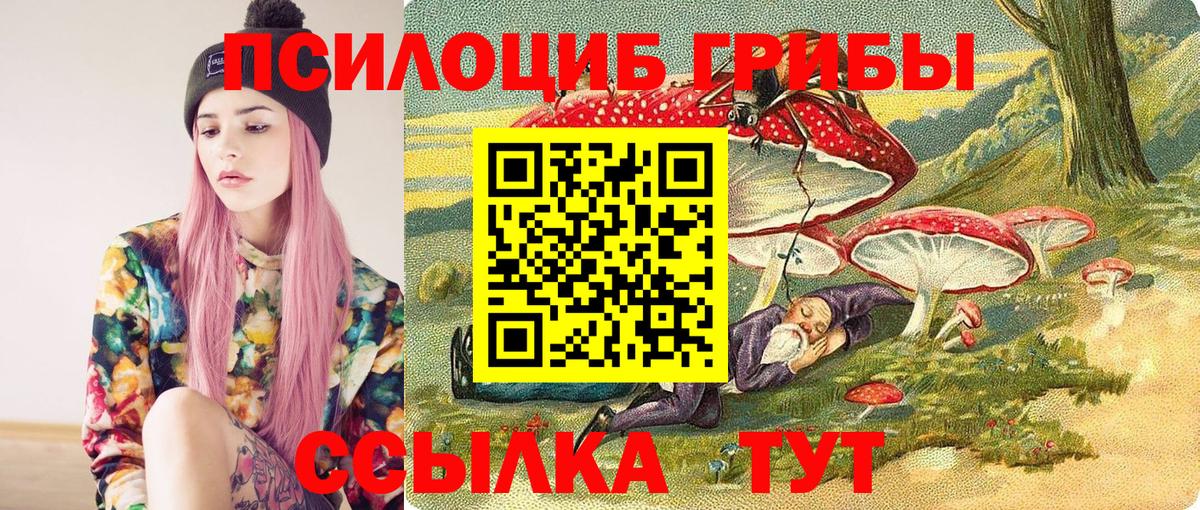 Галлюциногенные грибы Cubensis Соликамск